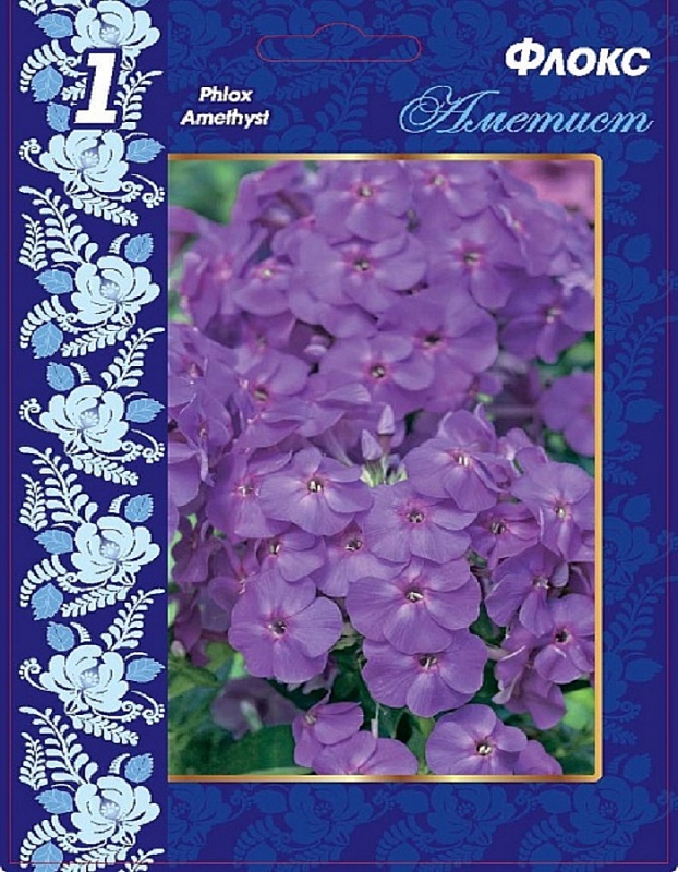 Флокс Аметист 